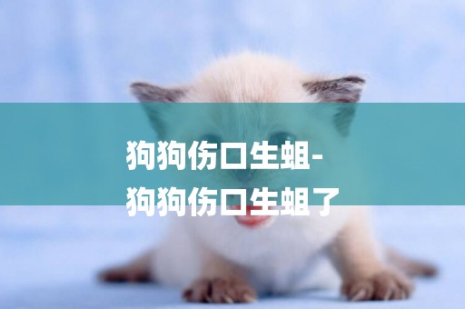狗狗傷口生蛆-
狗狗傷口生蛆了