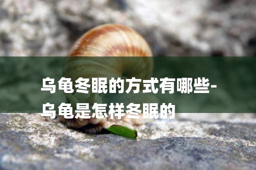 烏龜冬眠的方式有哪些-
烏龜是怎樣冬眠的
