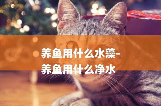 養魚用什么水藻-
養魚用什么凈水