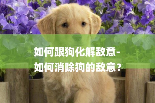 如何跟狗化解敵意-
如何消除狗的敵意？