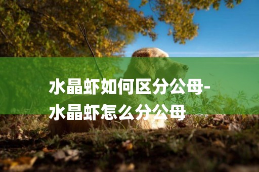 水晶蝦如何區分公母-
水晶蝦怎么分公母
