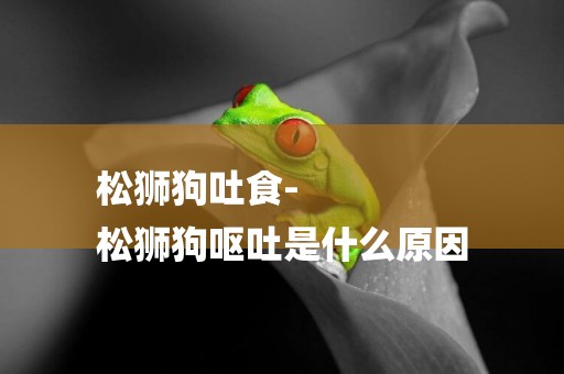 松獅狗吐食-
松獅狗嘔吐是什么原因