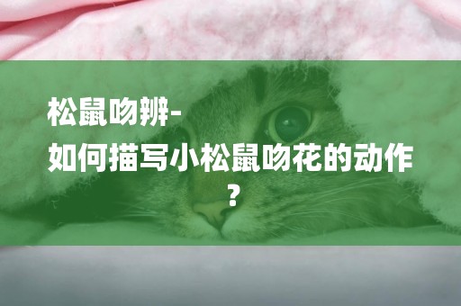 松鼠吻辨-
如何描寫小松鼠吻花的動作？