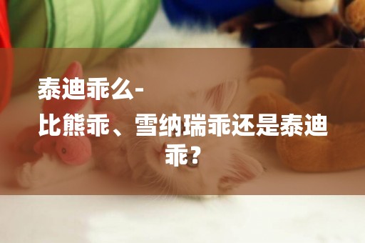 泰迪乖么-
比熊乖、雪納瑞乖還是泰迪乖？
