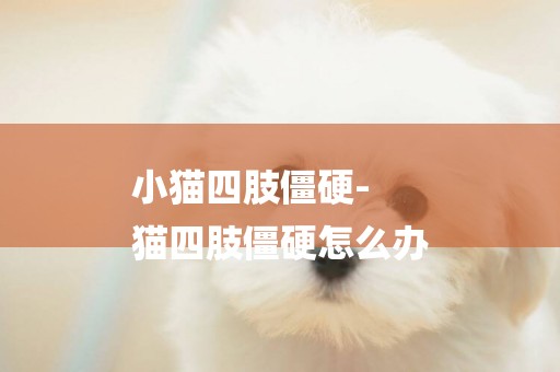 小貓四肢僵硬-
貓四肢僵硬怎么辦