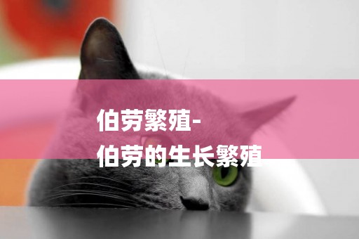伯勞繁殖-
伯勞的生長繁殖