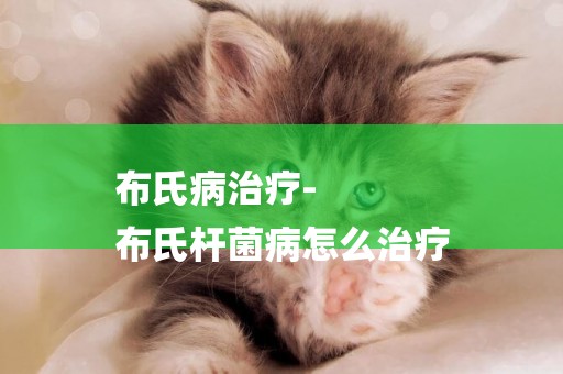 布氏病治療-
布氏桿菌病怎么治療