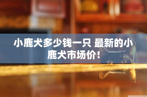 小鹿犬多少錢一只 最新的小鹿犬市場價！