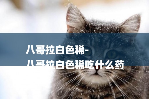 八哥拉白色稀-
八哥拉白色稀吃什么藥