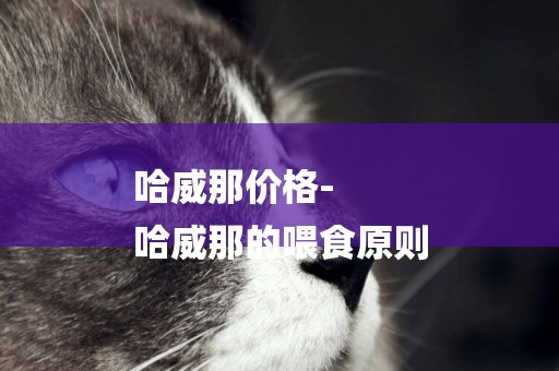 哈威那價格-
哈威那的喂食原則