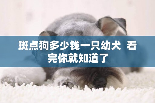 斑點狗多少錢一只幼犬  看完你就知道了