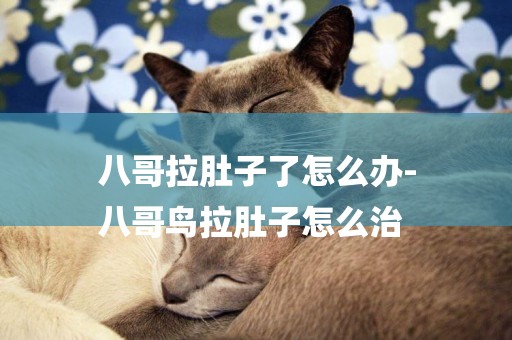 八哥拉肚子了怎么辦-
八哥鳥拉肚子怎么治
