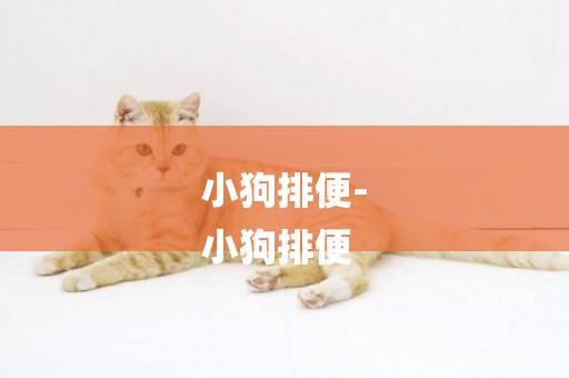 小狗排便-
小狗排便