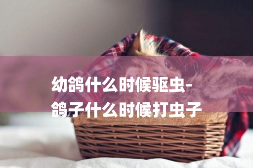 幼鴿什么時候驅蟲-
鴿子什么時候打蟲子