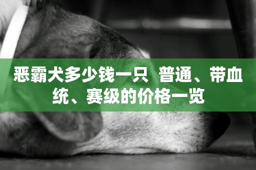 惡霸犬多少錢一只  普通、帶血統、賽級的價格一覽