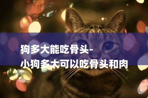 狗多大能吃骨頭-
小狗多大可以吃骨頭和肉
