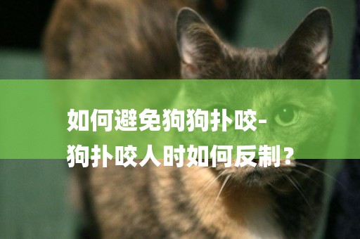 如何避免狗狗撲咬-
狗撲咬人時如何反制？