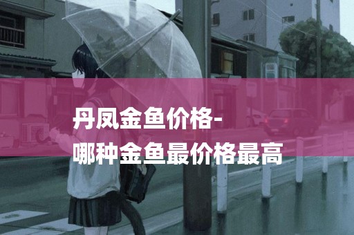 丹鳳金魚價格-
哪種金魚最價格最高