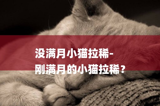 沒滿月小貓拉稀-
剛滿月的小貓拉稀？