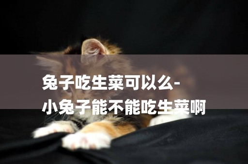 兔子吃生菜可以么-
小兔子能不能吃生菜啊