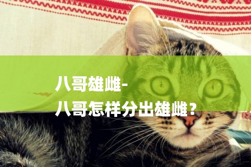 八哥雄雌-
八哥怎樣分出雄雌？