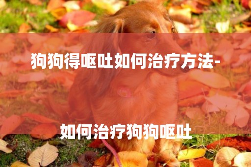 狗狗得嘔吐如何治療方法-
如何治療狗狗嘔吐