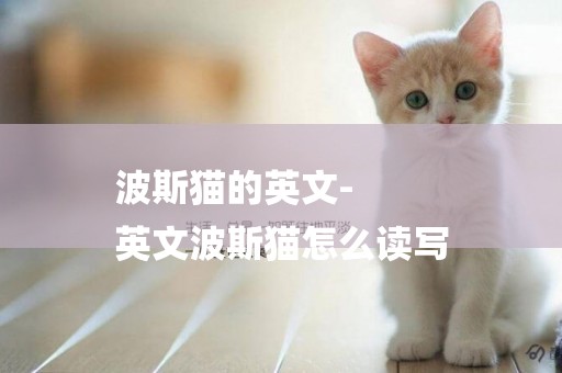 波斯貓的英文-
英文波斯貓怎么讀寫