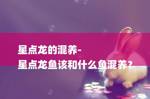 星點龍的混養-
星點龍魚該和什么魚混養？