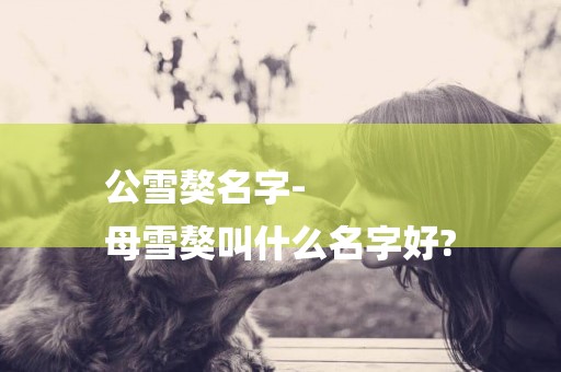 公雪獒名字-
母雪獒叫什么名字好?