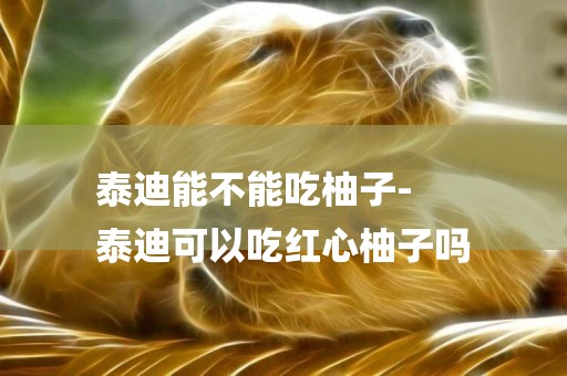 泰迪能不能吃柚子-
泰迪可以吃紅心柚子嗎