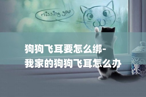 狗狗飛耳要怎么綁-
我家的狗狗飛耳怎么辦