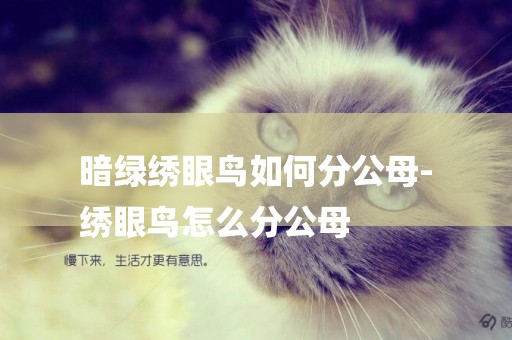 暗綠繡眼鳥如何分公母-
繡眼鳥怎么分公母