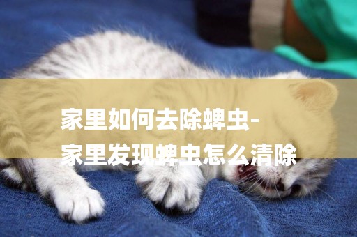 家里如何去除蜱蟲-
家里發現蜱蟲怎么清除