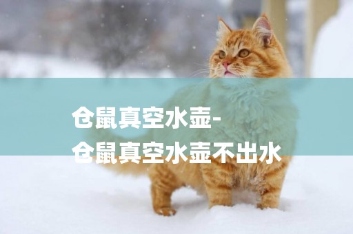 倉鼠真空水壺-
倉鼠真空水壺不出水