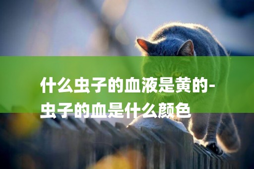 什么蟲子的血液是黃的-
蟲子的血是什么顏色