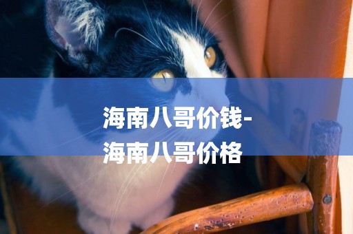 海南八哥價錢-
海南八哥價格