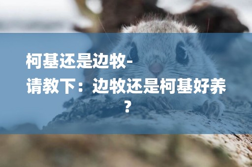 柯基還是邊牧-
請教下：邊牧還是柯基好養？