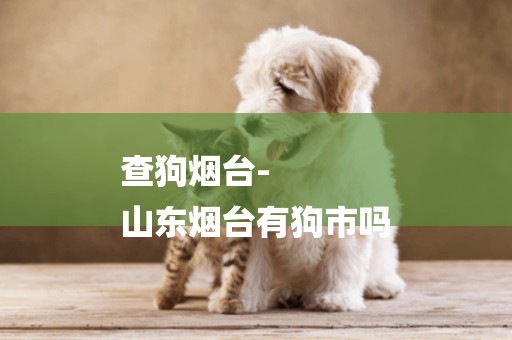 查狗煙臺-
山東煙臺有狗市嗎