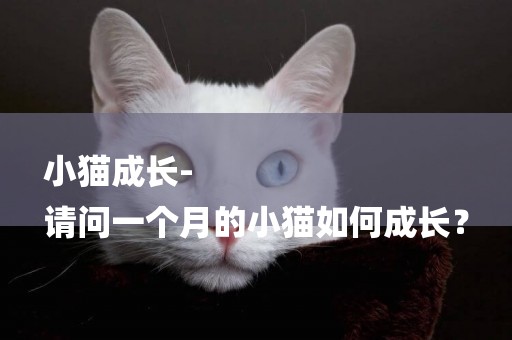 小貓成長-
請問一個月的小貓如何成長？