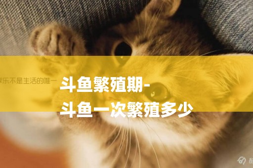 斗魚繁殖期-
斗魚一次繁殖多少