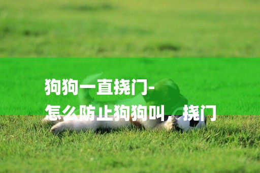 狗狗一直撓門-
怎么防止狗狗叫，撓門