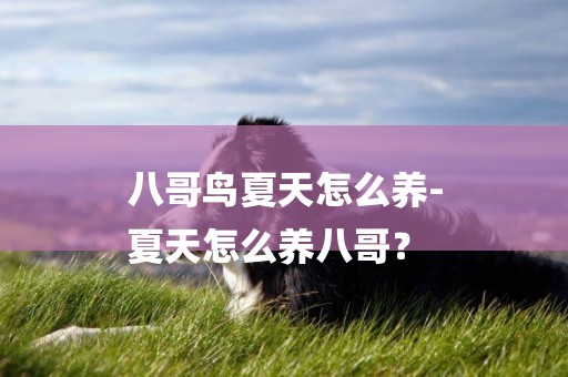 八哥鳥夏天怎么養-
夏天怎么養八哥？