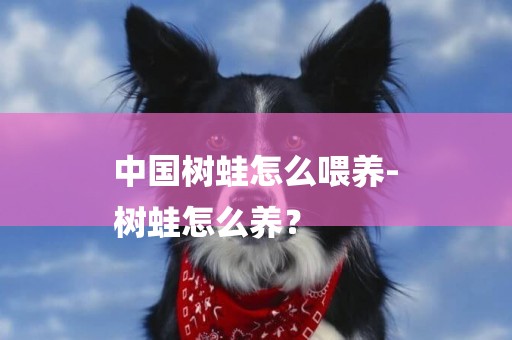 中國樹蛙怎么喂養-
樹蛙怎么養？