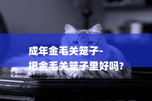 成年金毛關籠子-
把金毛關籠子里好嗎?