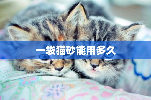 一袋貓砂能用多久