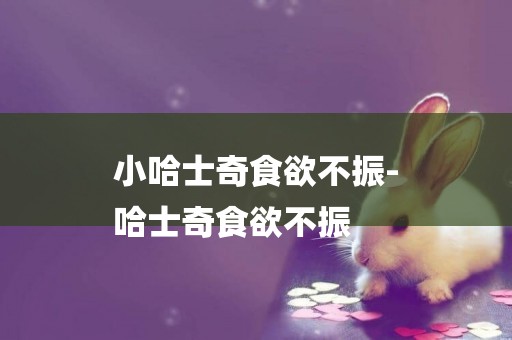 小哈士奇食欲不振-
哈士奇食欲不振