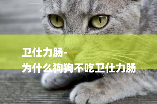 衛仕力腸-
為什么狗狗不吃衛仕力腸