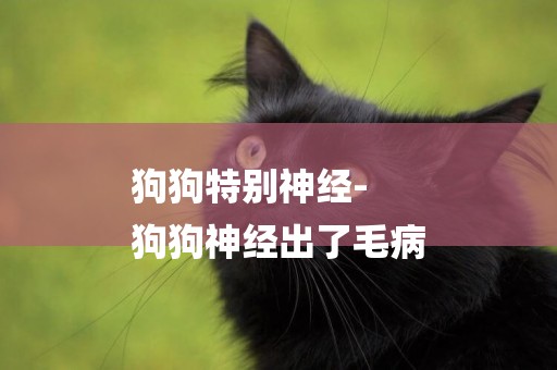 狗狗特別神經-
狗狗神經出了毛病