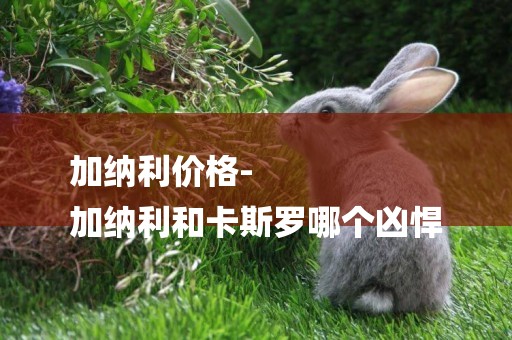 加納利價格-
加納利和卡斯羅哪個兇悍