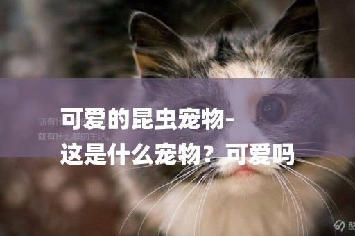 可愛的昆蟲寵物-
這是什么寵物？可愛嗎